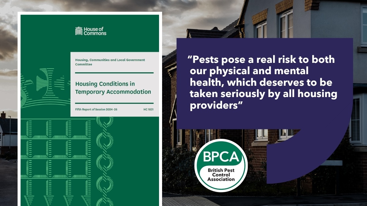 Homelessfamiliesforcedintopest-infestedtemporaryaccommodationhero